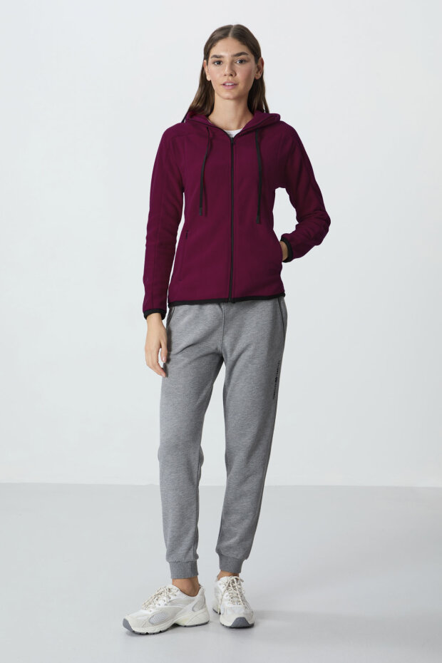 Erguvan Kalın Yumuşak Dokulu Kapüşonlu Standart Fit Nakışlı Polar Kadın Sweatshirt -97287 - 5