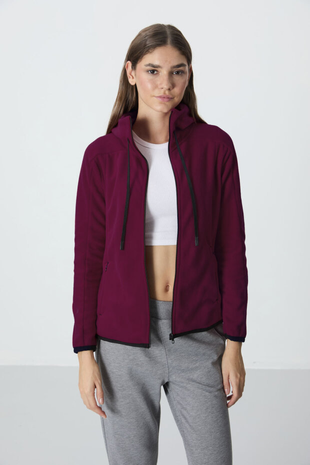 Erguvan Kalın Yumuşak Dokulu Kapüşonlu Standart Fit Nakışlı Polar Kadın Sweatshirt -97287 - 2