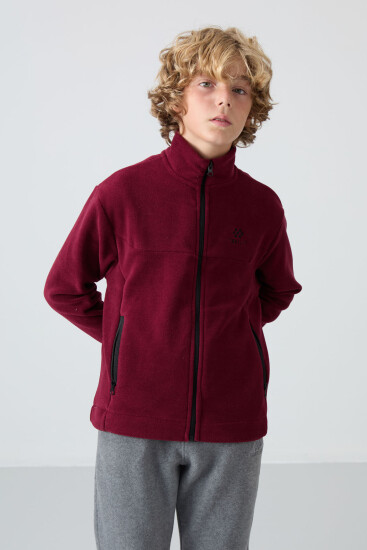 Erguvan Kalın Yumuşak Dokulu Standart Fit Nakışlı Polar Erkek Çocuk Sweatshirt - 11223 