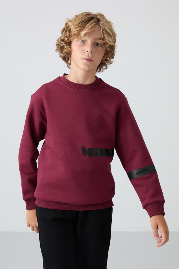 Erguvan Pamuklu Kalın İçi Tüylü Yumuşak Dokulu Standart Fit Baskılı Erkek Çocuk Sweatshirt - 11238