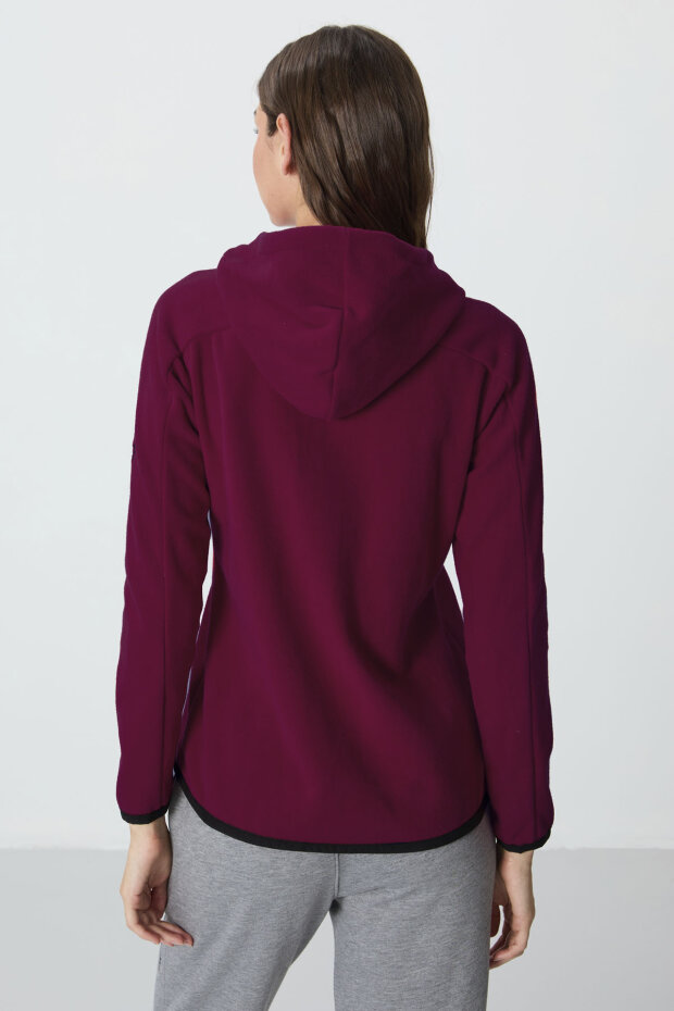 Erguvan Kalın Yumuşak Dokulu Kapüşonlu Standart Fit Nakışlı Polar Kadın Sweatshirt -97287 - 6