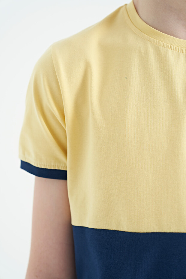 Sarı Baskı Detaylı Renk Bloklu Standart Kalıp O Yaka Erkek Çocuk T-Shirt - 11107
