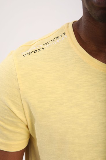 Sarı Göğüs Baskılı Koordinat Detaylı Standart Kalıp O Yaka Erkek T-Shirt - 87894 - Thumbnail